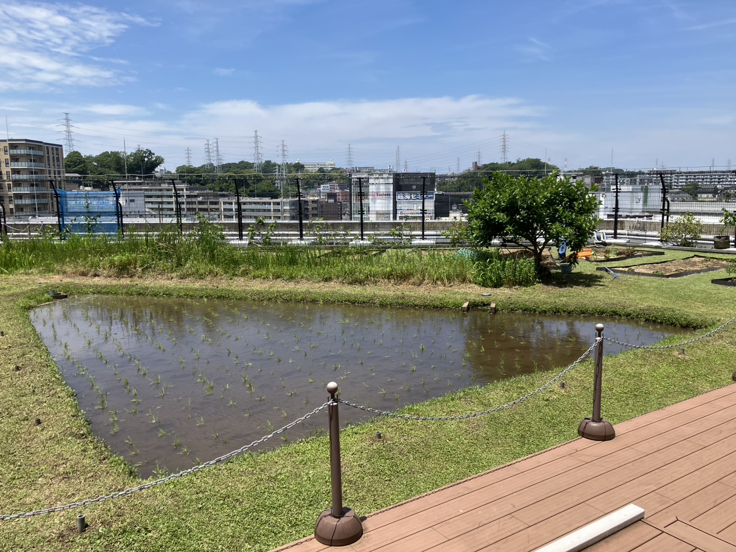 屋上庭園からの眺め